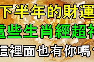 這些生肖下半年的財運已經超神，這裡面也有你嗎？