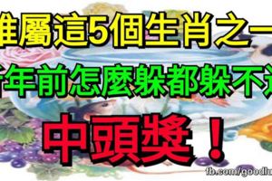 誰屬這5個生肖之一，新年前怎麼躲都躲不過中頭獎。你有上榜嗎？