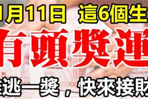 11月11日，這六個生肖難逃一獎，最有頭獎運！上榜的是你嗎？