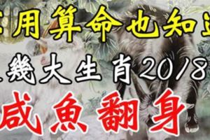 不用算命也知道，這幾大生肖2018年收入翻倍，鹹魚翻身！