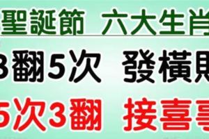 在聖誕節之前，3翻5次發橫財，5次3翻接喜事，錢賺不完的生肖！