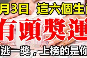 1月3日，這六個生肖難逃一獎，最有頭獎運！上榜的是你嗎？