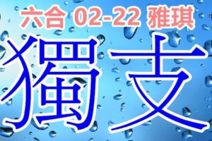 琪六合彩2018/02/22獨支新年快樂開工大吉