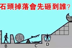 趣味測試：石頭推下去會先砸到誰？測你是什麼類型的人才！