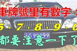 有車的人注意了，如果i的車牌號裡有5、7、8、9、0，真是恭喜你啦