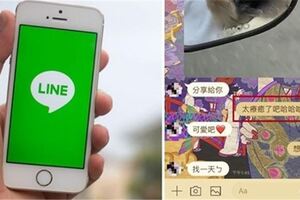 LINE更新5大功能！左滑「快速回覆訊息」、選單大翻新　網友試用全讚：超實用！