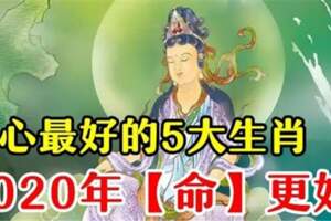 心好命也好！2020年老天眷顧，最好命的5大生肖