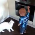 這隻白貓為了保護嬰兒主人不被熱騰騰的烤箱燙到，居然站起來推開他！