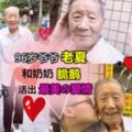 台灣網紅「老夏」爺爺走了,60年獨寵一人感動了億萬網友…這大概是世間最美好的愛情❤
