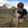 這個小男孩意外和土撥鼠成為了好朋友，連續8年上山探望讓土撥鼠連後代也介紹給他認識！