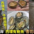 【天鴿風球】風後有口福　西環友執飽魚加餸　網民：真係夠膽食？