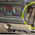 警察臨檢，發現車上有「腐臭味」，轉頭看見「一隻奇怪的爪子」！