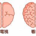 9個實例證明「是你決定了大腦會長怎樣」　科學家發現大腦會被徹底影響