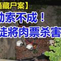 【紙箱藏屍案】勒索不成！外籍商人遭勒索殺害　警方逮捕3人助查