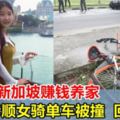 2年前來新加坡打工，19歲中國女孩騎單車被撞，搶救8天，沒見到父母最後一面