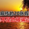 曾經瘋傳的20張假圖片，你是不是也被騙過呢？