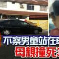 悲！不察男童站在車前母親撞死3歲兒