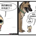 有大哥罩就是這種感覺？　超寵「軍犬與小家貓」讓網友甜到掉牙❤