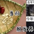 30日告別脫髮問題！老中醫祖傳3款「生髮茶」秘方＋3個增髮穴位