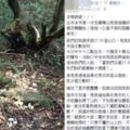 你在山上看過「被丟棄的麵包」嗎？神人解惑：千萬不要撿！網友發毛：原來是這樣...