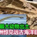 有史以來最大的動物出土南極洲驚見「遠古海洋巨獸」