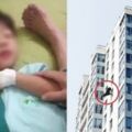 兩歲女兒被咬，他一氣之下把西施犬從12樓丟下去！論壇文章掀正反論戰正方：爸爸太過分反方：狗飼主不對！