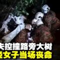 轎車失控撞大樹　2女當場傷重身亡