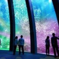 全台第一座國際水族館將登場！　結合「五星飯店、影城、OUTLET」腿軟預定