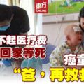 家貧無力負擔醫療費用　5歲癌童苦撐7次化療