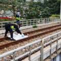 跨越鐵道遭太魯閣號撞上當場死亡多車延誤