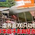 虐養逾700隻動物1歲半孩子關狗籠當狗養