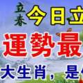 今日立春（2月4號）運勢最好的六大生肖，上榜生肖請接財