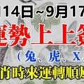 9月14日~9月17日運勢呈上上簽（兔虎X猴）時來運轉順風順水