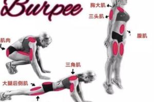 Burpee：一種簡單粗暴但高效的運動