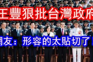 王豐：台灣社會走向民粹軍官功能只剩。。。。