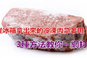 剛從冰箱拿出來冷凍肉急著用？教你幾招讓你立馬得心應手！』