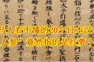 大馬人看不懂的20個日本漢字！「人參」竟然指的是紅蘿卜？