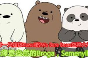 OMG！一千零一隻超級Kawaii的WeBareBears空降大馬啦！就在綠意盎然的Broga，Semenyih呢！