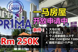 在10月27日公布的2018年財政預算案中，政府宣布撥出15億令吉以建造21萬間一馬房屋。