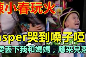 陳小春玩火jasper哭到嗓子啞：不要丟下我和媽媽，應采兒落淚