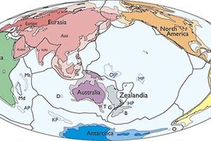 其實世界上不只有「七大洲」，地理學家已證實還有「隱藏版的第八大洲」！