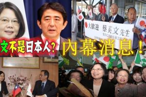 前日本官員：台灣和日本會走得那麼靠近全托他的福！