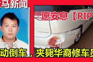 願安息【RIP】休旅車自動倒車夾斃修車員