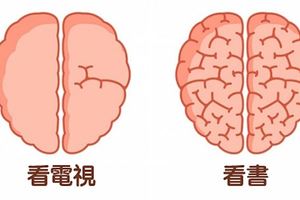 9個實例證明「是你決定了大腦會長怎樣」　科學家發現大腦會被徹底影響