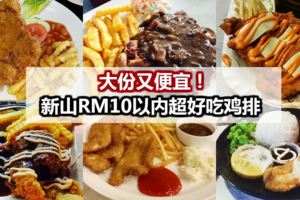 大份又便宜！新山RM10以內的超好吃雞排