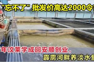 怡保青年文萊學習養魚回霹靂創業，一條忘不了批發價高達2000令吉！