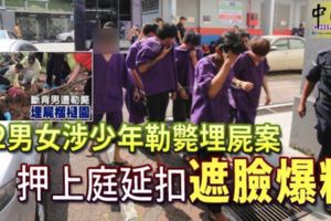 12男女涉少年勒斃埋屍案押上庭延扣遮臉爆粗