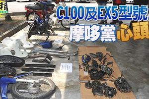 本田摩哆C100和EX5型號，成為偷摩哆黨的「心頭好」，警方偵破蒲種大本營