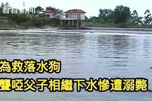 為救落水狗聾啞父子相繼下水慘遭溺斃