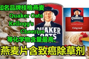 環保組織：燕麥片含致癌除草劑!知名品牌桂格燕麥（QuakerOats）、家樂氏（Kellogg』s）和Cheerios等的化學物含量最高。